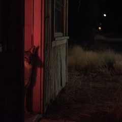 LoVeNoV - Coeur d'Emeraude