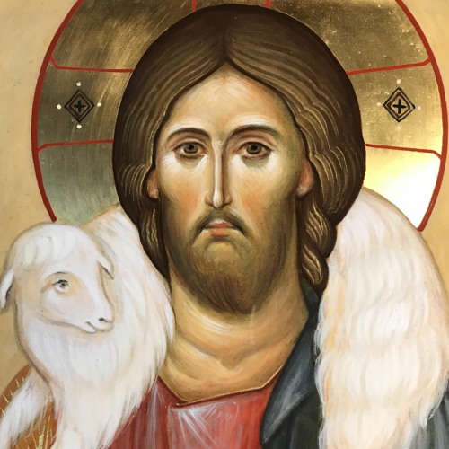Stream Homily For The 7th Sunday In Ordinary Time by Chicago