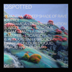 Spotted – June 2025 mini-mix
