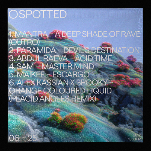 Spotted – June 2025 mini-mix