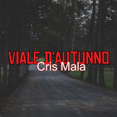 Viale d'autunno
