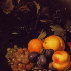 fruit loops [LDSR233]