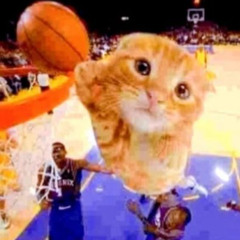 ball'in
