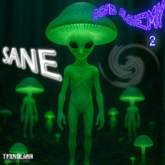 Sane - It Could Be Worse