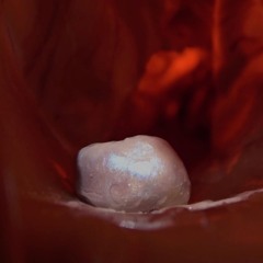 Les Perles Silencieuses (binaural)