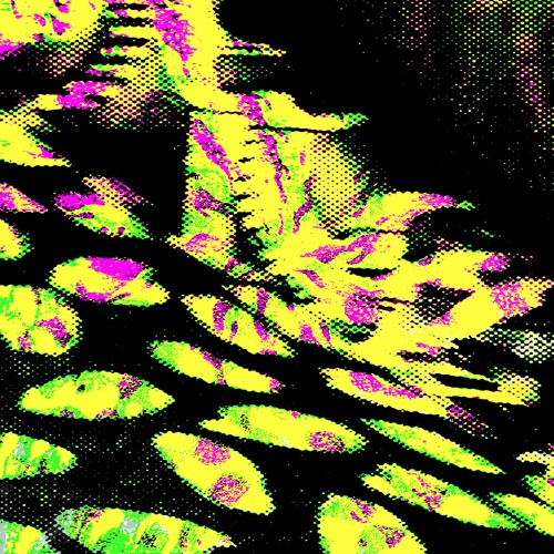 Can't Leave You Alone