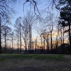 Upside Down (05alagen + foreless + chemical)