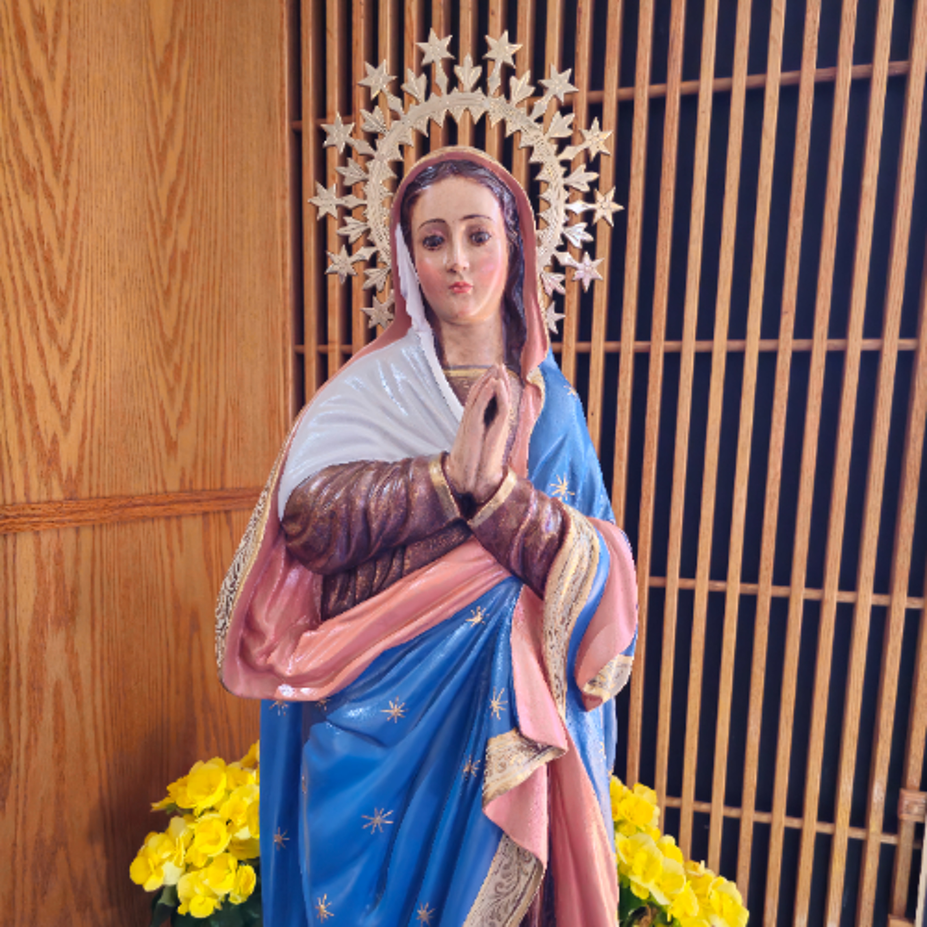 The Queen of All Hearts: Mary’s Role in Building the Body of Christ episode artwork