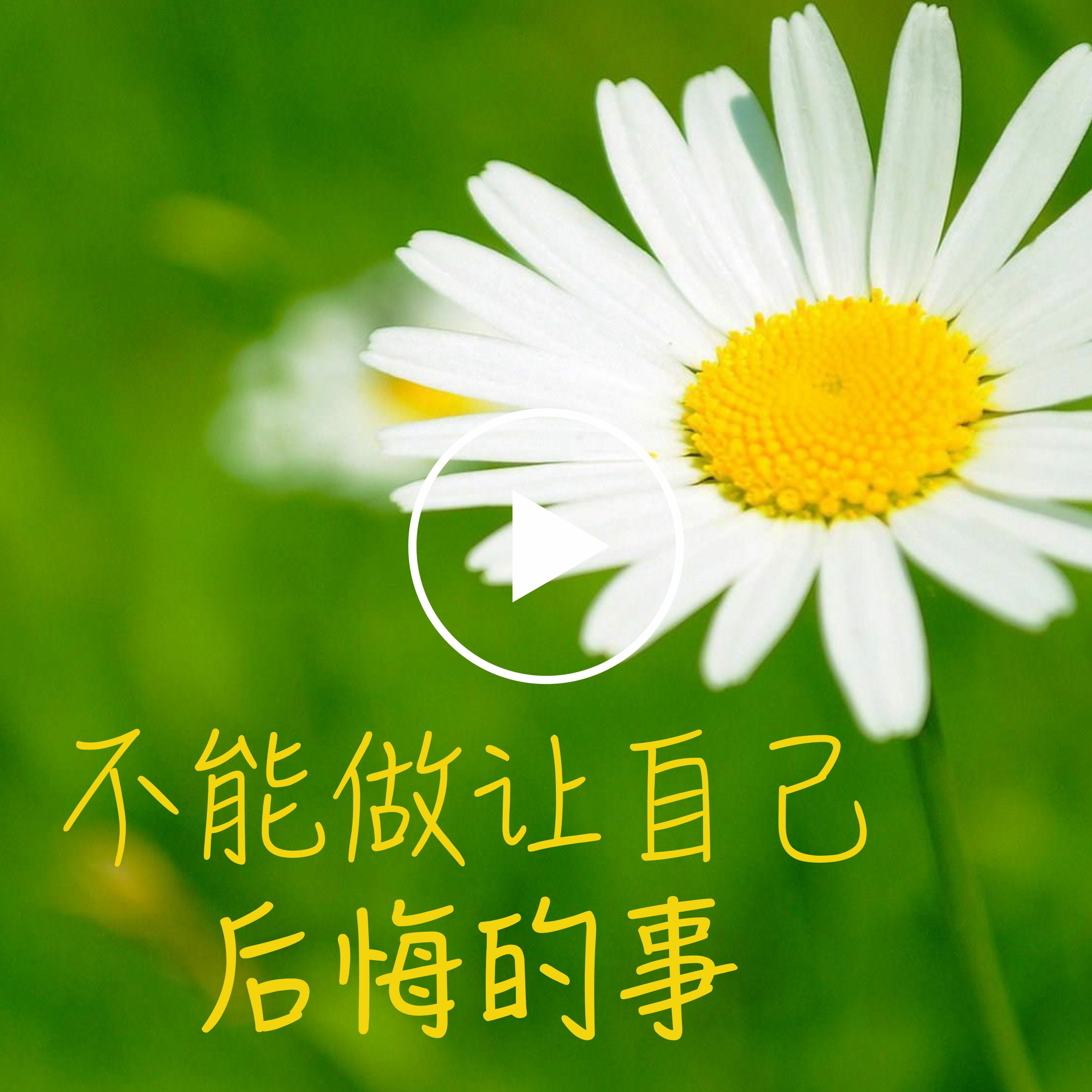 不能做让自己后悔的事 episode artwork