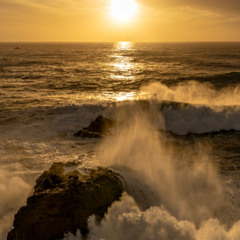 Look What You've Done