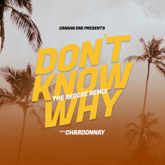 Don't Know Why (Reggae Remix)