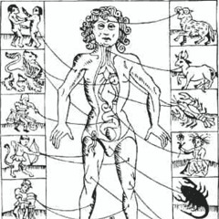 Audiohazards pt. 2: Zodiac Man