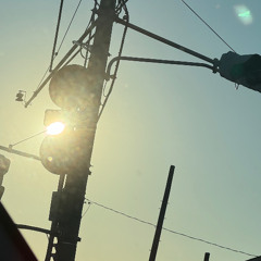 2025/11/25 塩漬け