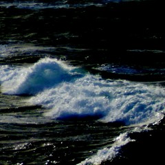 Surf Surround (disquiet0588)