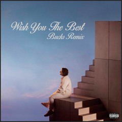 Lewis Capaldi - Wish You The Best (Buck's Remix Preview)