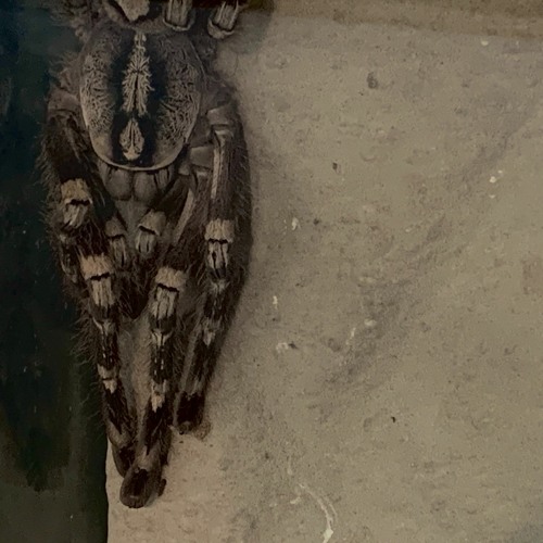 bad ending (prod. brody)