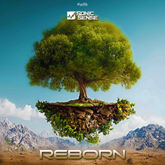 SONIC SENSE - Reborn ( SAMPLE )
