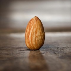 Pangifrani x RinseTech - Half An Almond