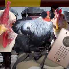 판타스틱 치킨 (귀갱 타임)