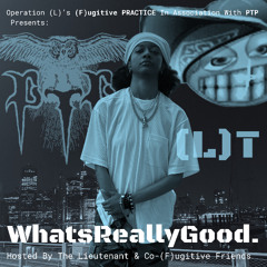 Panoramic #142 Freestyle - BONUS