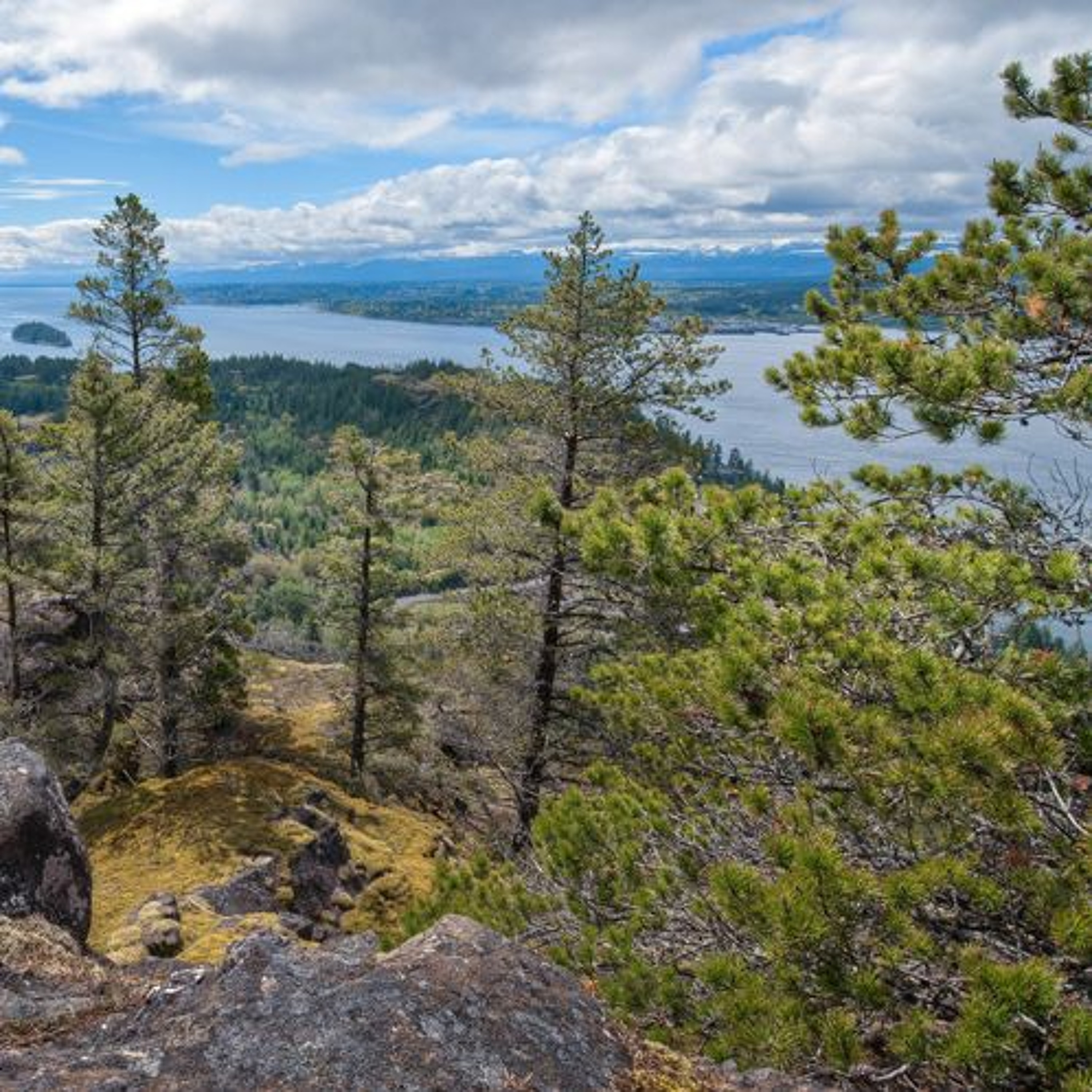 $110,000 in Funding: What the Quadra Island Foundation Accomplished