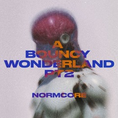 A BOUNCY WONDERLAND PT 2