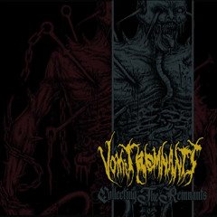 vomit remnants - Macabre Mementos