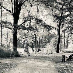 shades of twenty-three