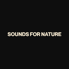 Sounds for nature (DJ set)