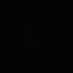 Saturday Night Fever