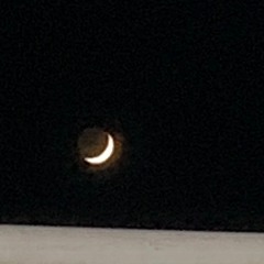 LOOP? cover (Balming Tiger)