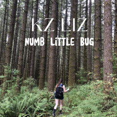 Numb Little Bug COVER
