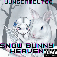 Snow bunny heaven - yungcameltoe