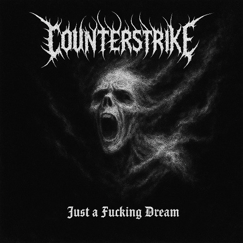 Counterstrike - Total F***ing Destruction