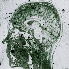 audiowurst/klangteppich19-20 (zweiter traumspaziergang)