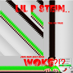 Lil Woke Stein