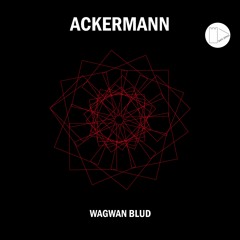 Ackermann - Keep It Locked Cuzz (SAFESP017)