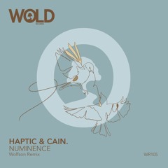 HAPTIC & CAIN. - Numinence (WOLFSON Remix)
