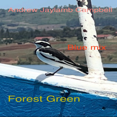 Forest Green (Blue Mix)