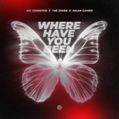 Nic Johnston, The Joker & Milan Gavris - Where Have You Been