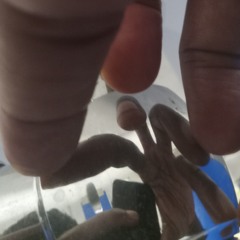 Master Blaster (A Sly Stevie Mix)