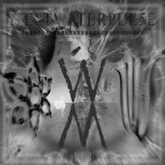 WSTDYTH ~ MELTWATERPUL5E NITECORE MIX