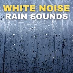 Ambient White Noise Rain Sounds