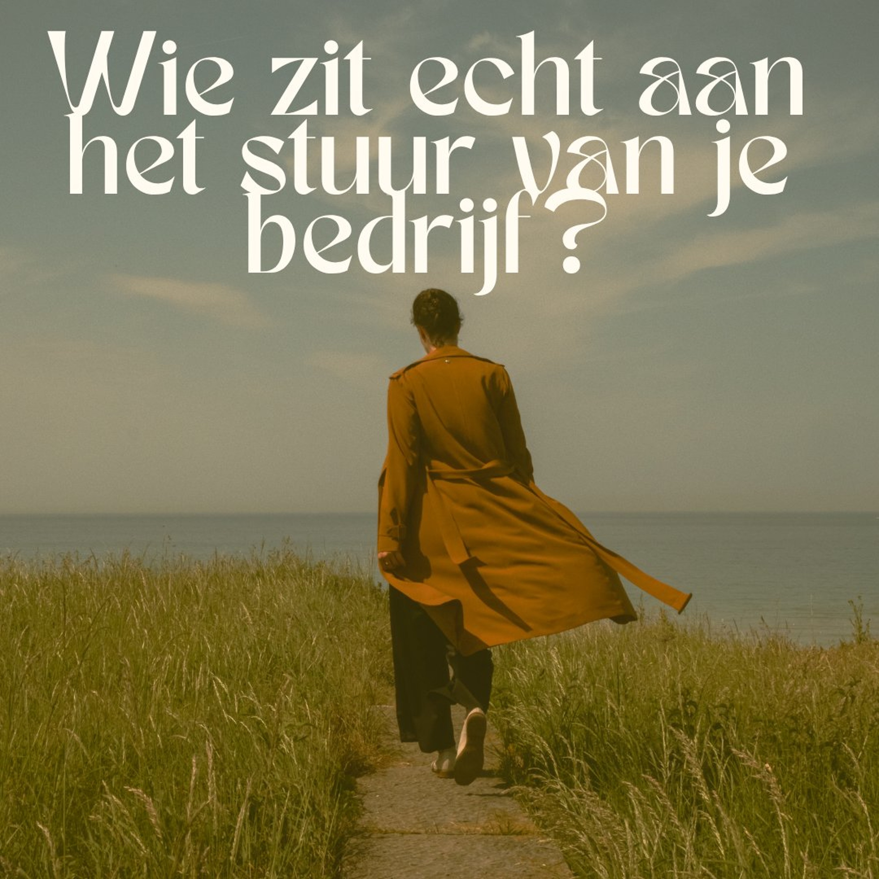 #78 Wie zit er echt aan he stuur van je bedrijf? episode artwork