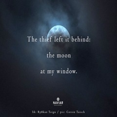 halF stoleN [naviarhaiku454]