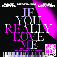 David Guetta x MistaJam x John Newman - If You Really Love Me (How Will I Know) [Marten Hørger Remix]