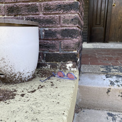 C895 Groovy Gallery: JENNGREEN