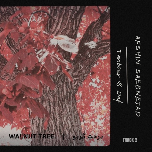 Walnut tree 2 | ۲ درختِ گردو