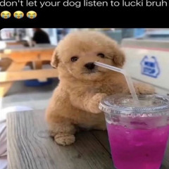 LUCKI x OKLOU