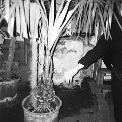 Demain N'existe Plus